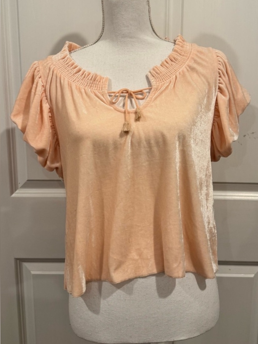 Free People Velvet Puff Sleeve Tie Front Top Blush Pink Size XS